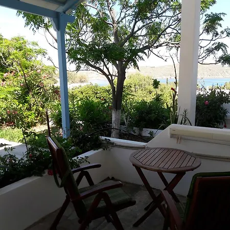 Casa de hóspedes Medusa